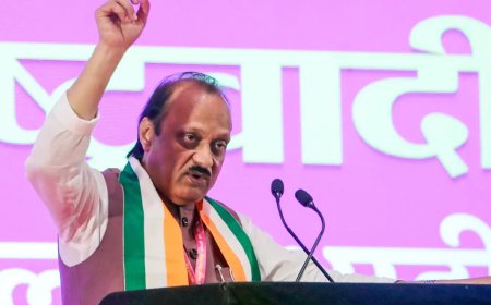 Maharashtra orders probe into land sale to Ajit son's company