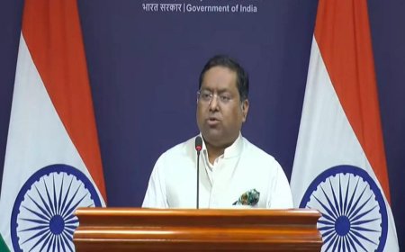 'Do not have anything on this to share': MEA on Donald Trump's possible India visit next year