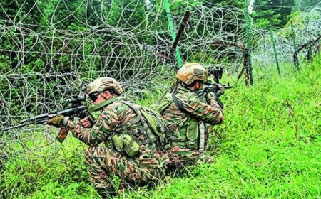Operation Pimple: Army foils infiltration attempt in J&K's Kupwara; terrorists 'trapped'