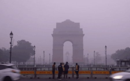 Desolation of smog: Parts of Delhi enter 'severe' AQI zone