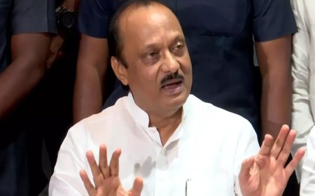 Pune land deal row: Ajit Pawar defends son Parth again; terms charges 'random' accusations