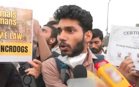 Delhi pollution: Citizens protest against toxic air in Capital; demand action