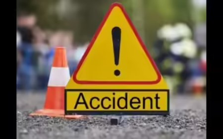 3 dead in crash as driver loses control trying to save wild boar