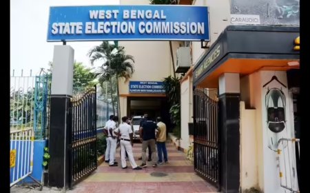 Woman tries to kill daughter & self, kin link it to Bengal SIR