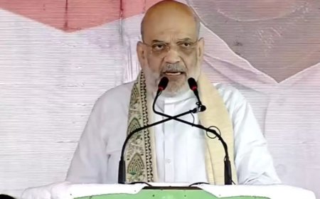 Will uproot Maoists, drive out infiltrators from Bihar: Amit Shah