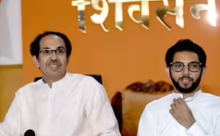 Drone near house: Aaditya; it's for a survey: Civic body