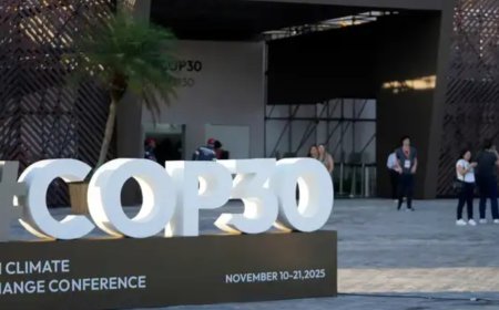 COP30 kicks off in Brazil, focus on mobilising $1.3 trillion finance