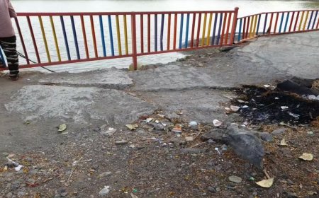 Canal near Kartavya Path green with algae, pavements broken
