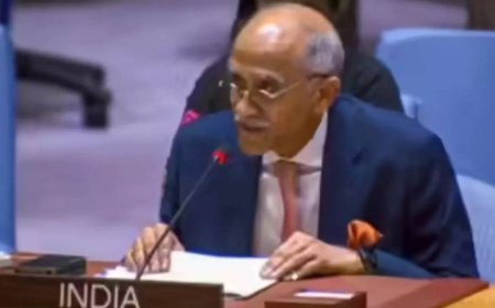 ‘Long-fought cross-border terror’: India tells UNSC to enforce zero-tolerance; remark hours after Delhi blast