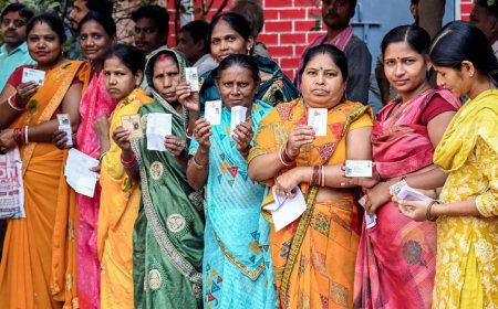 Bihar Assembly Elections 2025: Highest-ever voter turnout in Phase 2; lone Muslim-majority district Kishanganj leads the charts