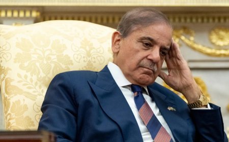 'Predictable tactic': India calls out Pakistan's 'delirious' leadership over terror claims, says remark to deflect internal power grab