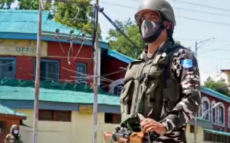 Kashmir doctors swept up in terror probe as police fan out across Pulwama