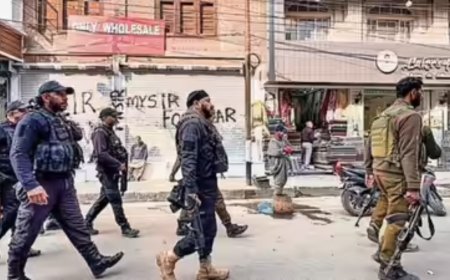 Kashmir imam held in alleged radicalisation drive targeting doctors