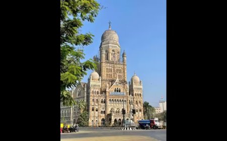 BMC ward reservation lottery leaves several heavyweights without fiefs