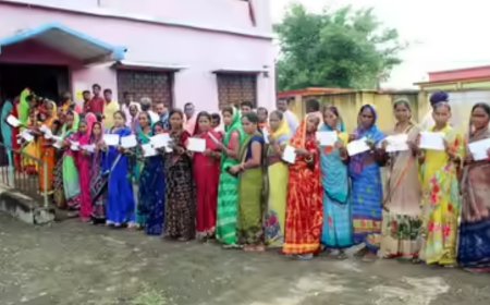 Bypolls for 8 seats see high to moderate turnout