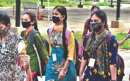 Government to launch Rs 383 crore national mission to fight zoonotic diseases