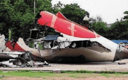 After AI-171 crash, drive on to clear Ahmedabad airport of birds, animals