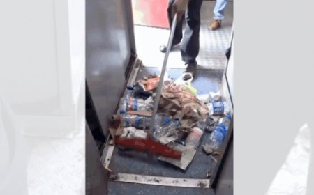 'How they clean trains in India': Foreign influencers catch railway worker throwing garbage on tracks after sweeping - watch