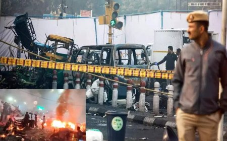 From Umar to Muzammil: Who are the six doctors behind Delhi Red Fort blast; all you need to know