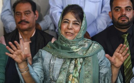 'Don't harass parents': Mufti urges agencies as probe into Delhi car blast widens; condemns explosion