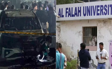 'White-collar terror module, red car': What's emerging in Delhi blast probe - key points