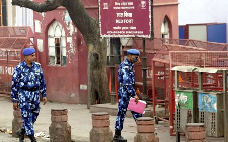 'Everyone thought it was transformer or cylinder': How confusion led to engagement ceremony continuing amid Delhi blast; locals recall chaos