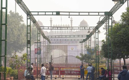 Delhi car blast: Doc module planned multiple bombings