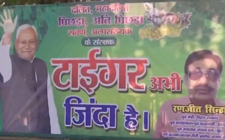 Bihar elections: 'Tiger abhi zinda hai' poster featuring Nitish surfaces; results to be out tomorrow