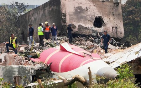 Air India crash: Preliminary report does not blame pilot, Centre clarifies to Supreme Court