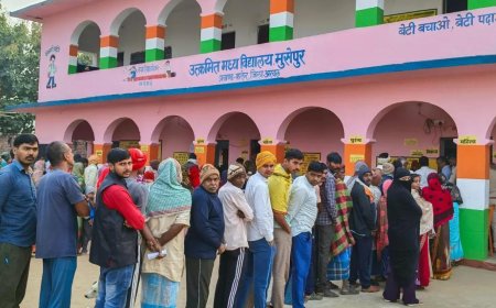 Bettiah Election Results 2025 Highlights: BJP's Renu Devi and Congress' Washi Ahmad in a deadlock showdown