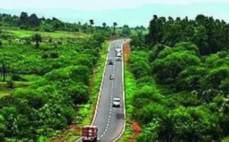 Notify Saranda as sanctuary in 3 months, SC tells Jharkhand