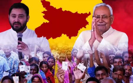 Bihar Election Results 2025: Top winners and losers
