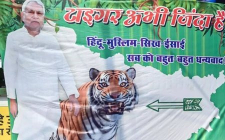 'Tiger abhi zinda hai' - Nitish Kumar beats all odds to script spectacular comeback  in Bihar assembly elections