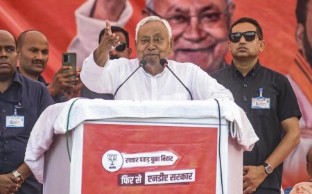 Bihar election results 2025: How Nitish Kumar's 'flip' on freebies powered historic NDA win