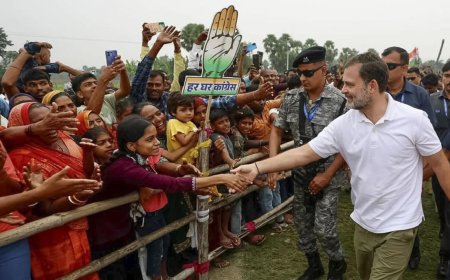 Bihar election results: Rahul Gandhi walked 1,300 km but Congress still went downhill