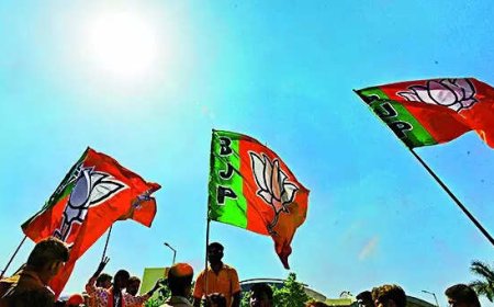 After Bihar verdict: Winning run may restart race for BJP president post