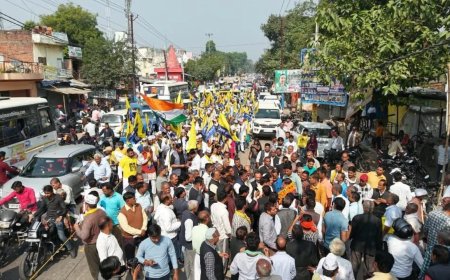 'Rojgaar Do': Sanjay Singh targets job vacancies, paper leaks as AAP's padyatra enters Day 3 in UP; slams BJP