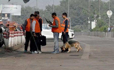 Cops suspect highly unstable TATP, ammonium nitrate behind car blast