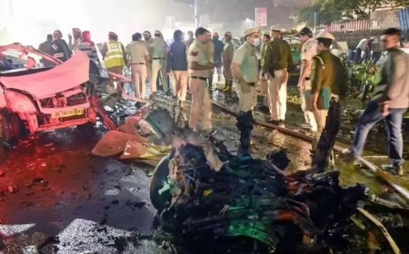 Delhi car blast: 'Madam Surgeon' emerges as key player; diaries hint at 'D-6 Mission' to 'avenge' Babri demolition