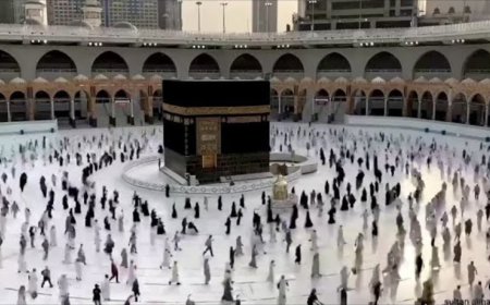 Helpline numbers released after Indian pilgrims killed in Saudi bus crash: Owaisi requests govt to bring back bodies - What we know so far