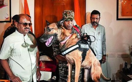 Bengal governor leads search for arms & ammunition at Raj Bhavan