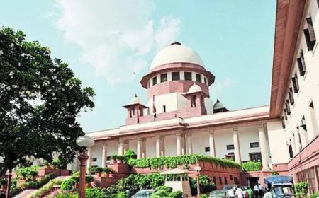 SC: Won't allow reservation to exceed 50% in Maha civic polls