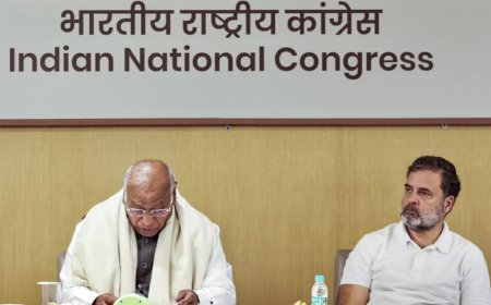 ‘Politically, organisationally, legally’: Congress ‘must fight’ SIR, says Rahul Gandhi; alleges flaws in implementation