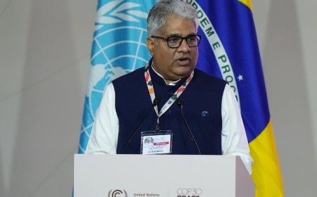 Developed nations must demonstrate own greater climate ambition, honour commitments: India