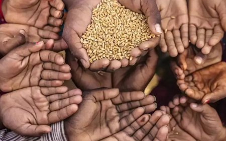 PMGKAY cleanup: Govt excludes 2 cr ineligible beneficiaries, introduces AI feedback system