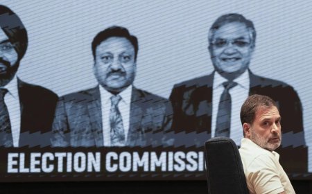 272 prominent citizens hit out at Rahul Gandhi's 'bid to tarnish EC'