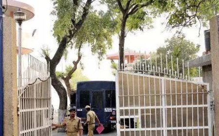 Deported From US, Anmol Bishnoi Lands In Delhi, Is Arrested By NIA