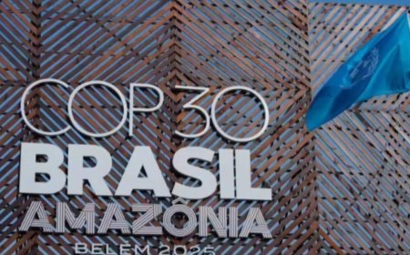 COP 30: Why India must shift perspective on climate action from moral obligation to industrial revolution