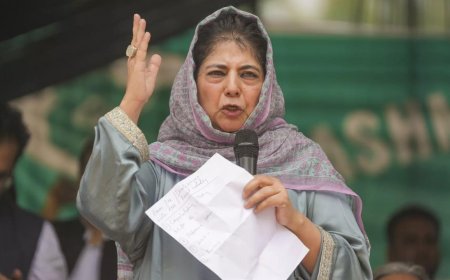 Talk to Centre to stop harassment of Kashmiris across India, Mehbooba urges Omar