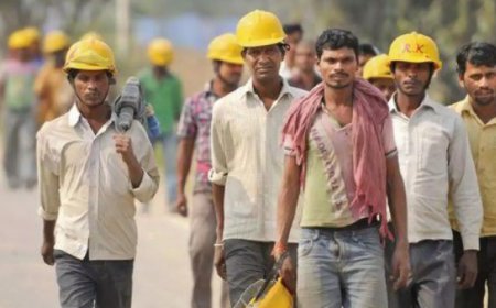 Minimum wage to social security, labour reforms set for rollout